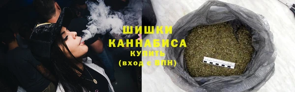 ПСИЛОЦИБИНОВЫЕ ГРИБЫ Алексин