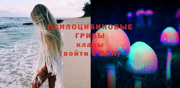 а пвп мука Алзамай
