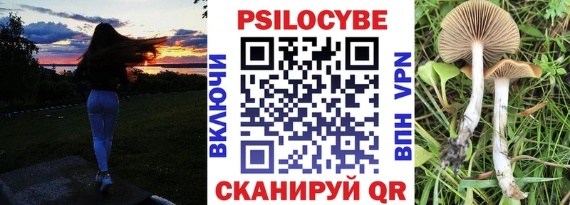 Галлюциногенные грибы GOLDEN TEACHER Амурск